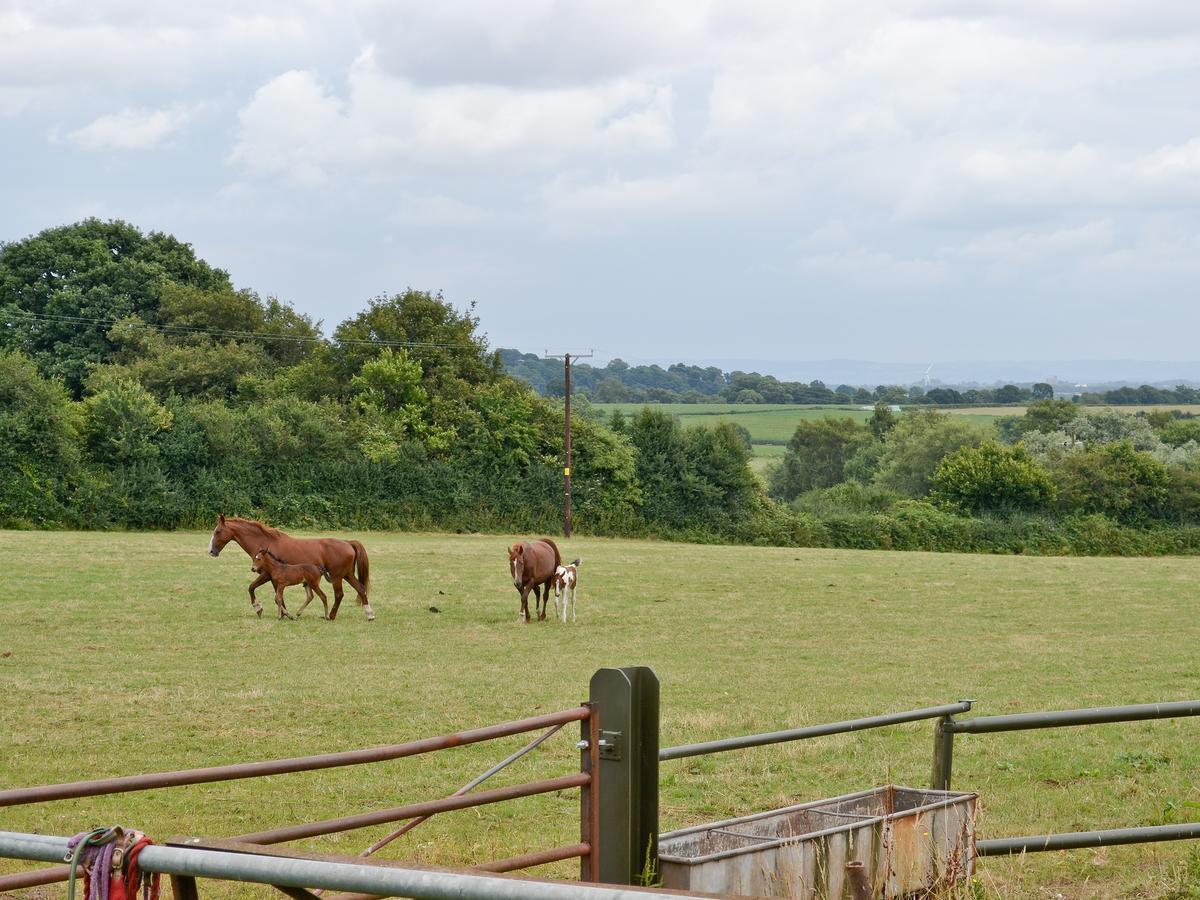 Woolaston The Stablesヴィラ エクステリア 写真